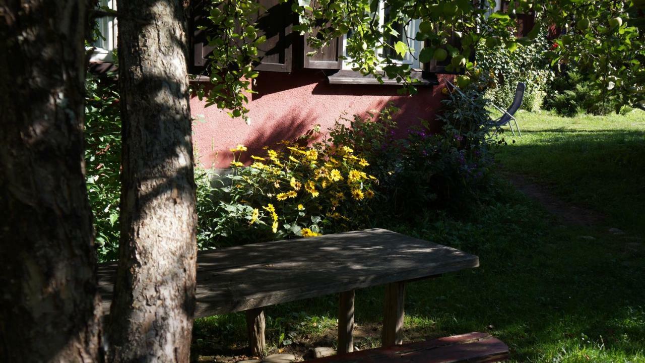 Woodenhouse Maramures Vişeu de Sus Exterior foto